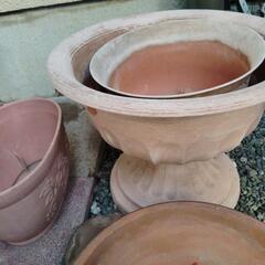 譲渡先決定　植木鉢いろいろの画像