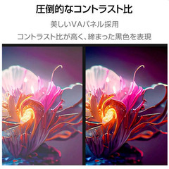 ELSONIC 24V型液晶ハイビジョンテレビ【HDD500GB/2チューナー内蔵】EHDTB24R3 の画像