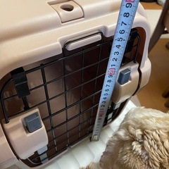 小型犬、子犬用クレート、
キャンピングキャリーの画像