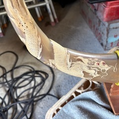 水牛のツノの画像