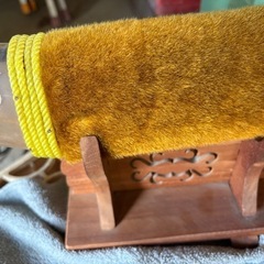 水牛のツノの画像