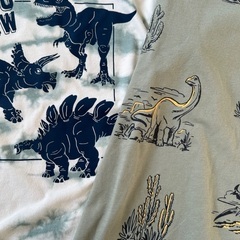 恐竜　Tシャツ　男の子　130の画像