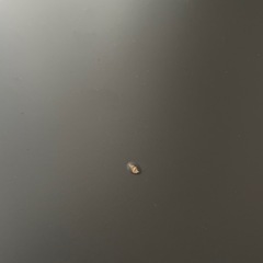 デスク【IKEA】の画像