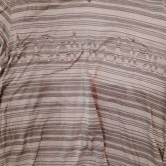 CK長袖シャツの画像