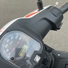 (原付) Honda Tact 50ccの画像