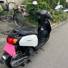 (原付) Honda Tact 50ccの画像