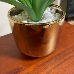 フェイク観葉植物
の画像