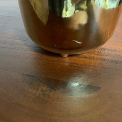 フェイク観葉植物
の画像
