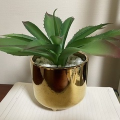 フェイク観葉植物
の画像