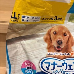 犬オムツ　マナーウェアLLの画像