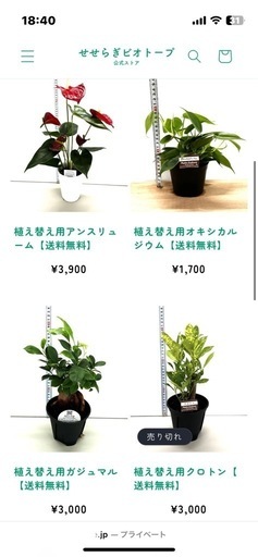 日曜まで７千円！！せせらぎビオトープ?ྀི濾過装置  