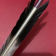 美品　弓道　矢　4本セットの画像