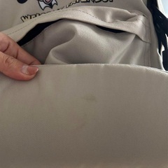 ミッキー　ミニー　リュックサックの画像