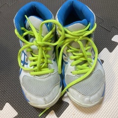 バッシュ、屋内シューズの画像