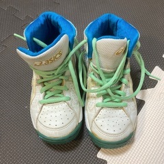 バッシュ、屋内シューズの画像