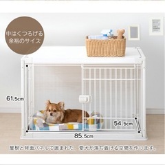 犬ゲージ(美品)の画像