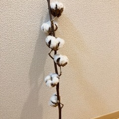 【決まりました】猫のワイン空ボトル ドライフラワー 綿花 インテリア雑貨 置物の画像