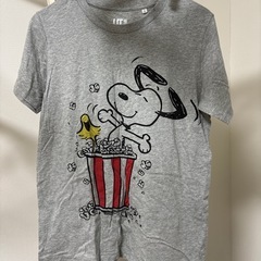 レディース半袖セットの画像
