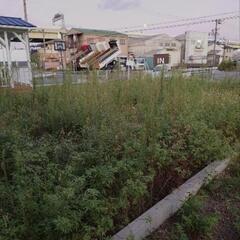 草刈お願いします