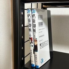 天井つっぱり型　ラックの画像