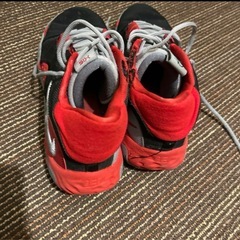 NIKE PJ5 バッ
シュの画像