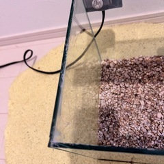 20cmキューブ水槽セットの画像
