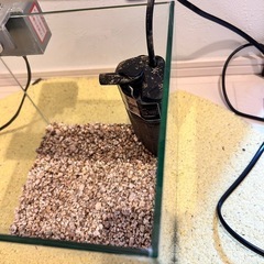 20cmキューブ水槽セットの画像