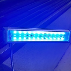 20cmキューブ水槽セットの画像