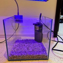 20cmキューブ水槽セットの画像