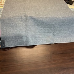 ホットカーペットの画像