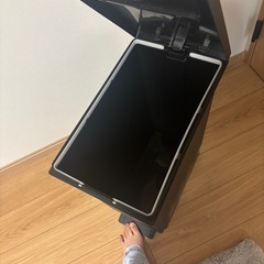 45Lゴミ箱(プッシュ&ペダル)の画像