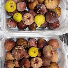 いちじく2パックの画像