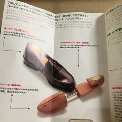 アムウェイ　シューズキーパーの画像