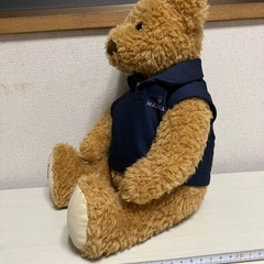 マセラティテディベアの画像