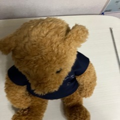 マセラティテディベアの画像