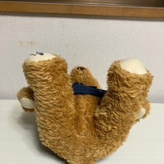 マセラティテディベアの画像