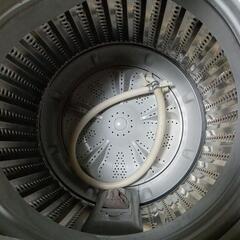 洗濯機 5.5kgの画像