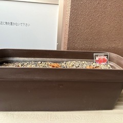 【未使用　プランター　培養土のセット】の画像
