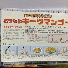 キーツマンゴーの画像