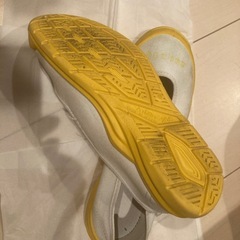 20.5cm 黄色 上履きの画像