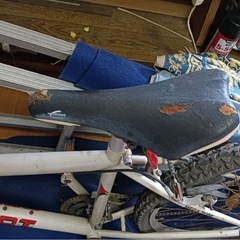 12日引渡　値下中　プジョー自転車 フレーム、ギア問題なし タイヤ、ホイール空気なし自己責任で修理必要 ブレーキ類交換必要 の画像