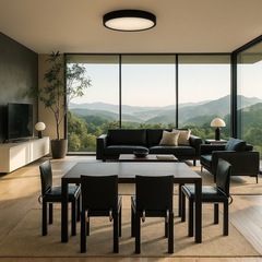 B&B Italiaダイニングチェア 椅子 Arcadia Chair　本革製 ブラック  の画像