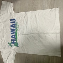 ハワイロゴ　Tシャツ　Mの画像
