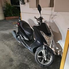 マジェスティs155の画像