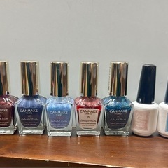 ネイル17本セット お譲りします セルフネイル マニキュア トップコート セット キャンメイク ジーニッシュ インスタドライの画像