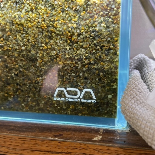 ◾︎お譲り先決定いたしました◾︎ADA 水槽セット
