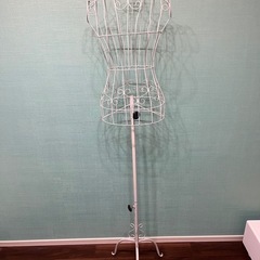 （決まりました）トルソーの画像