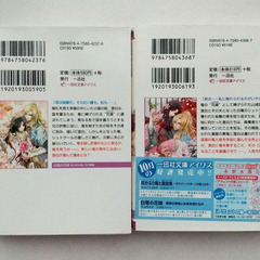 永野水貴　『白竜の花嫁』 文庫3冊セットの画像