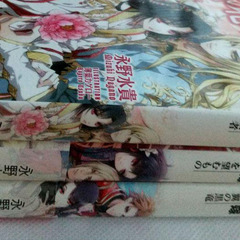 永野水貴　『白竜の花嫁』 文庫3冊セットの画像