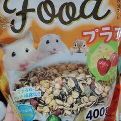 ハムスターのごはん🐹